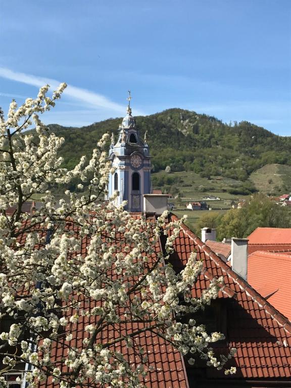 Nespecifikovaný výhled na hory nebo výhled na hory při pohledu z penzionu