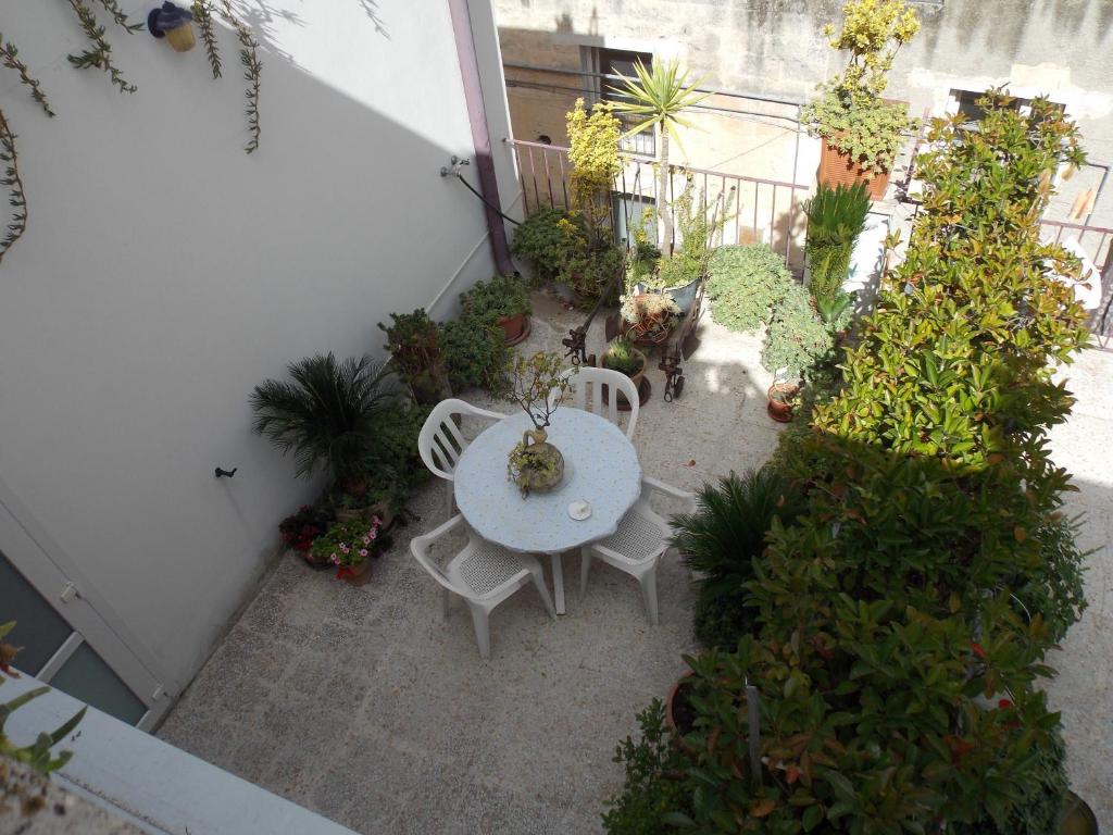 Zahrada ubytování Albergo Roma