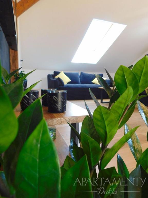 Apartamenty Dukla - 10