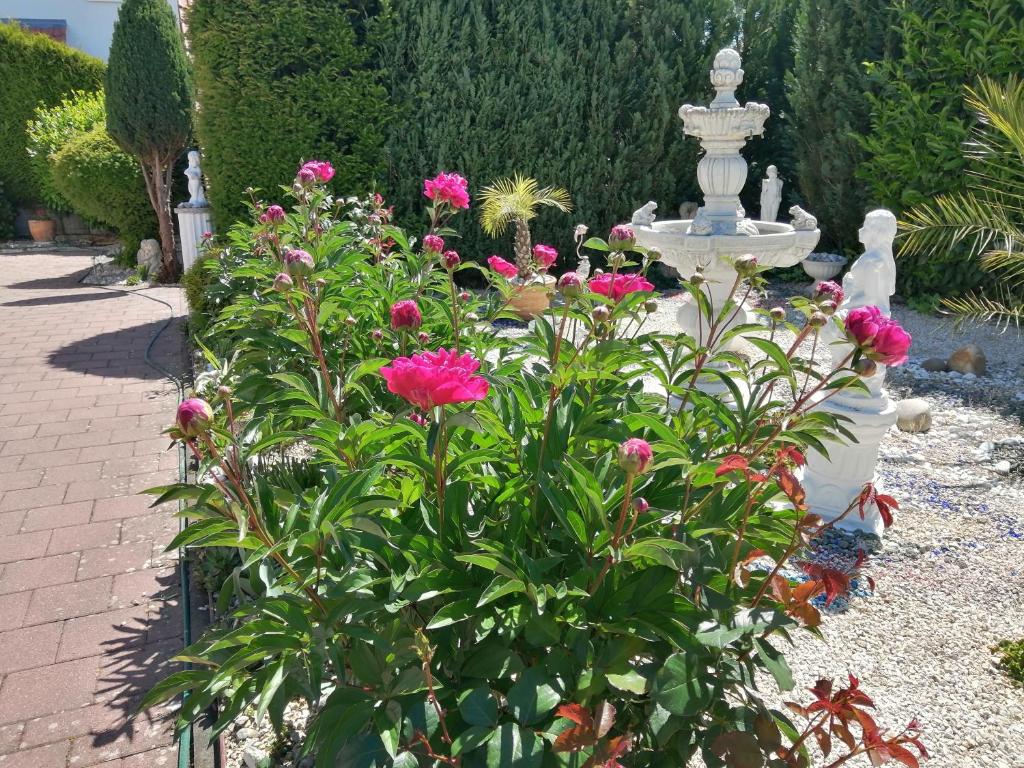 un jardin avec des fleurs roses et une fontaine dans l'établissement Apartment Natali, à Öhringen