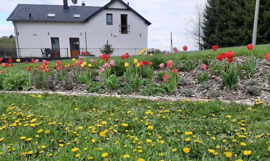 a field of flowers in front of a white house at Smrcina Resort in Smrčina