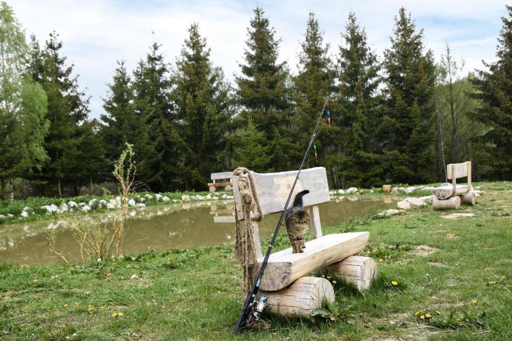 Zahrada ubytování Smrcina Resort