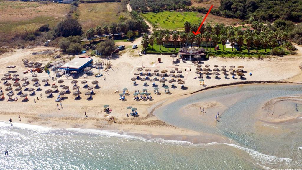 La Palma Apartments,a beachfront paradise!, (updated