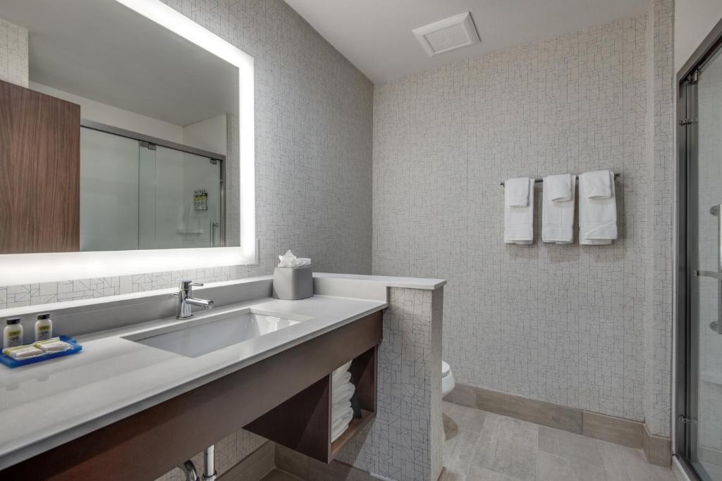 Holiday Inn Express & Suites Dallas North - Addison by IHG - Habitación Estándar King
