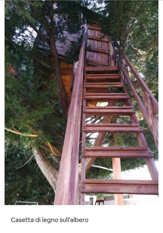 Zdjęcie z galerii obiektu B&b L'Oasi del Vulture w mieście Rapolla
