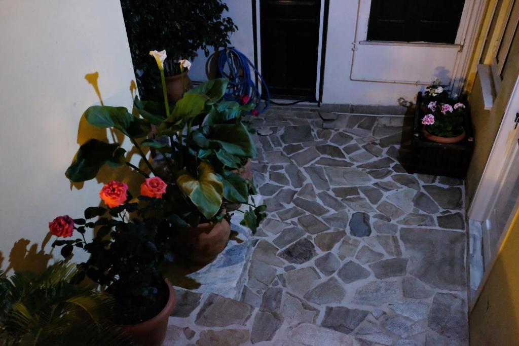 A garden outside George Studio