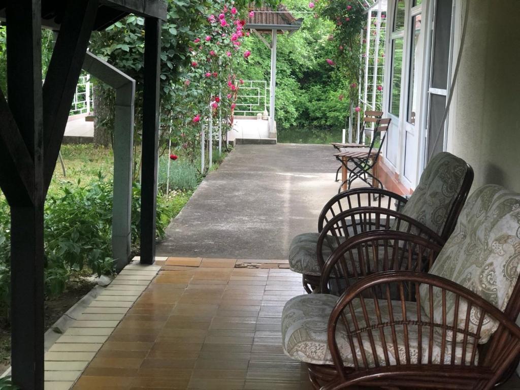 Garden sa labas ng Villa Elita - Bela Crkva