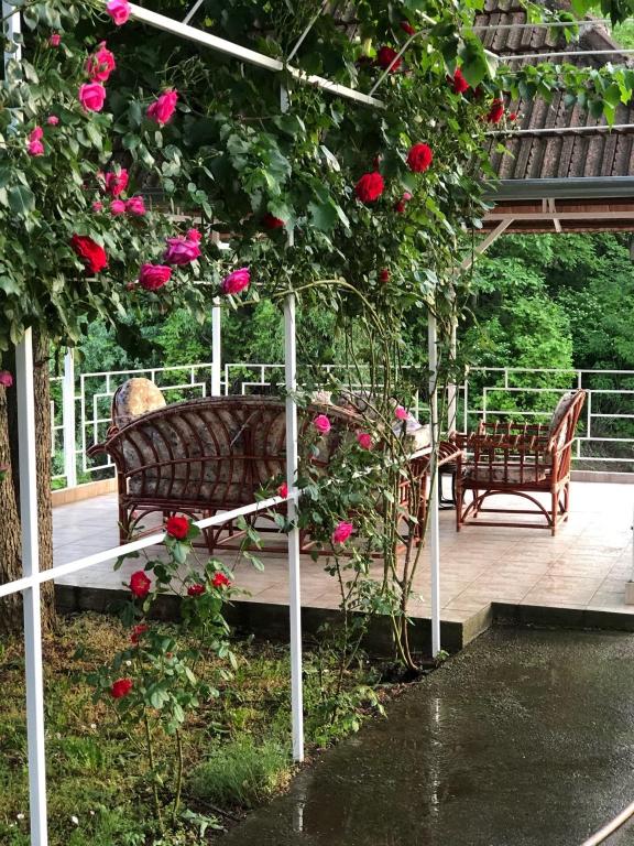 Garden sa labas ng Villa Elita - Bela Crkva