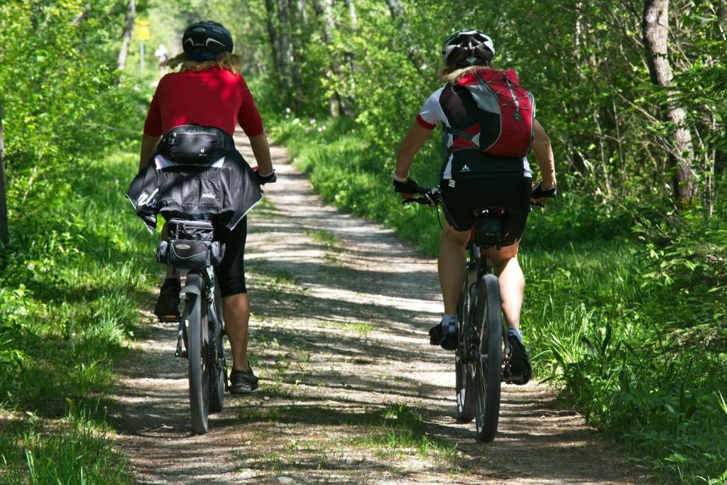 Hostia v ubytovaní Stara Szkołas7 noclegi,mZajezierze 8 14-330 Mazury