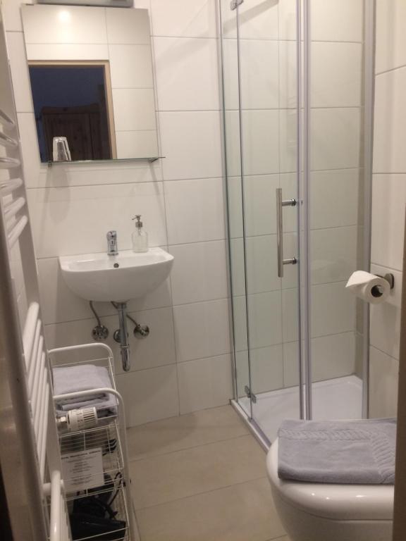 Landgasthof Zum goldenen Löwen - Standard Double Room