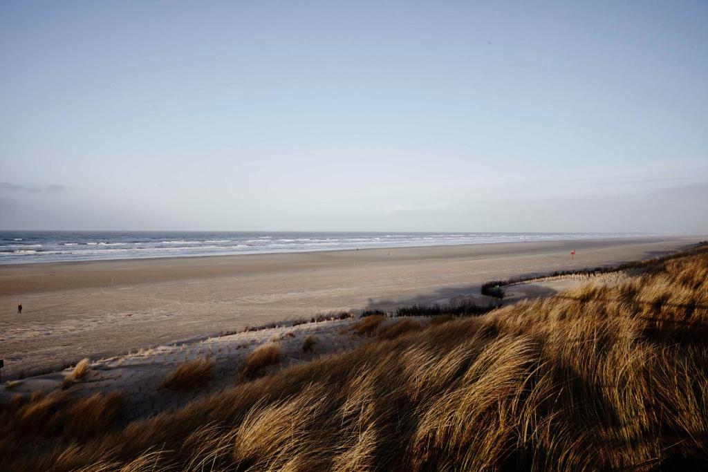 Plage de l'appartement ou située à proximité