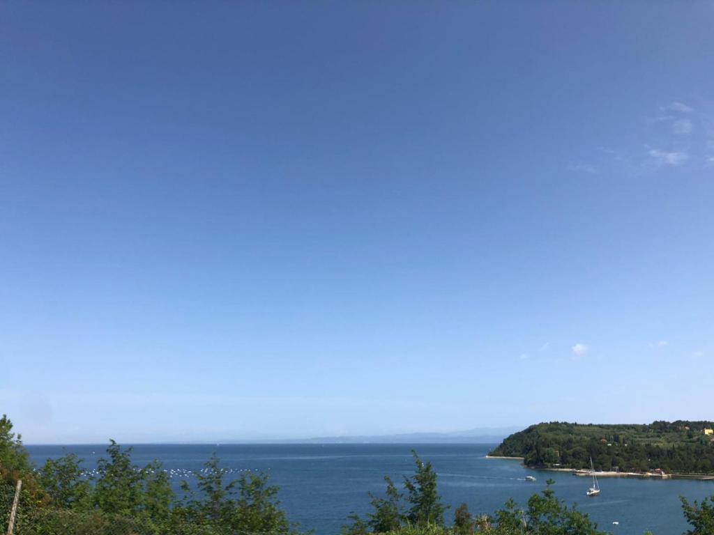 vistas al océano con barcos en el agua en Villa Yadranka en Strunjan