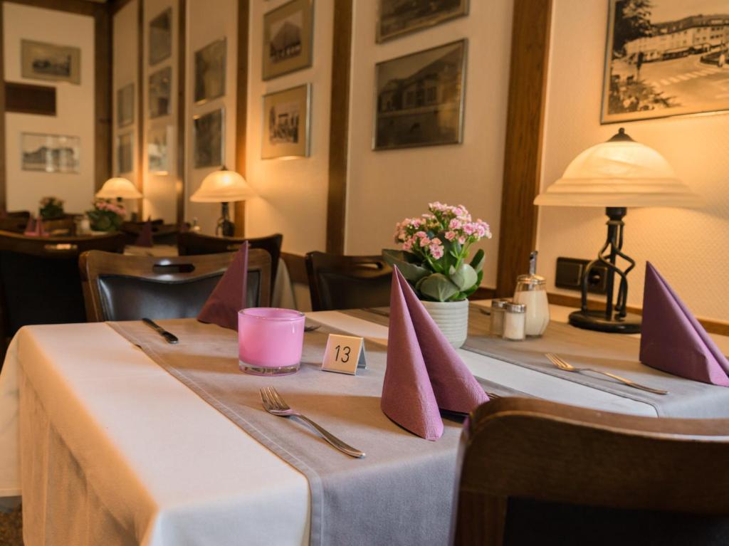 Fotografie z fotogalerie ubytování Hennedamm Hotel v destinaci Meschede