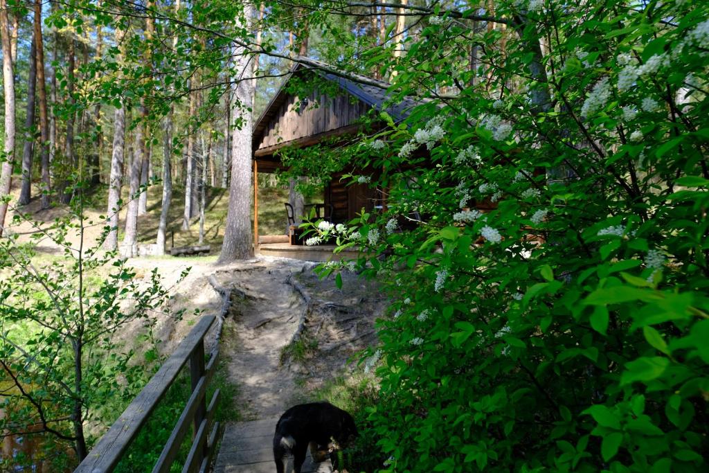 Zahrada ubytování Kallaste Talu- Turismitalu & Holiday Resort