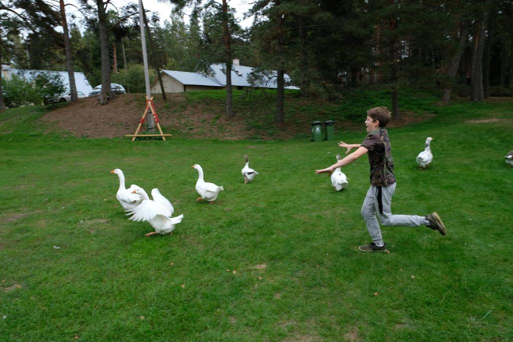 Hosté ubytování Kallaste Talu- Turismitalu & Holiday Resort