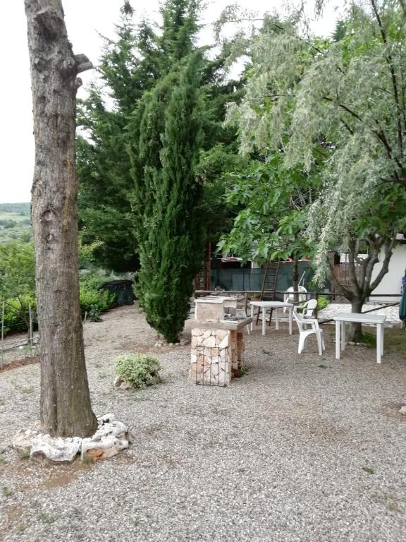 Ogród w obiekcie B&b L'Oasi del Vulture