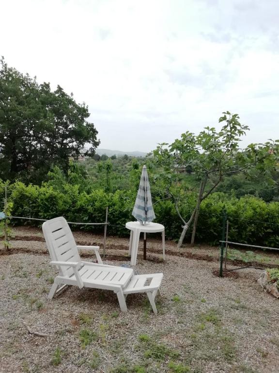 Ogród w obiekcie B&b L'Oasi del Vulture