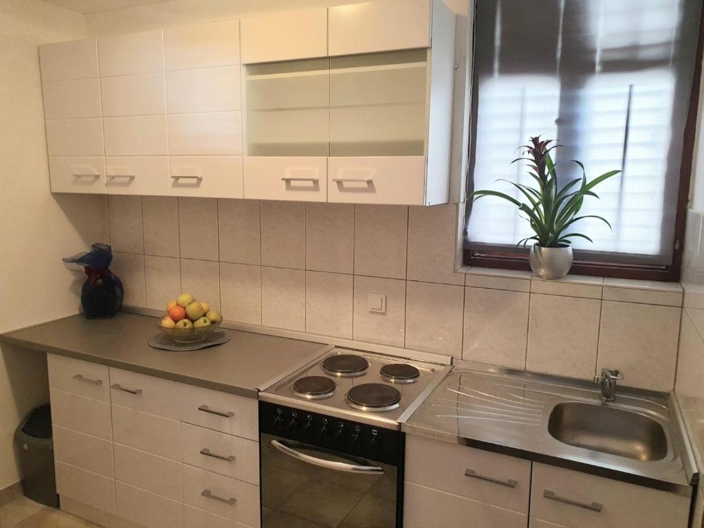 Kuchyňa alebo kuchynka v ubytovaní Apartments Kuzman
