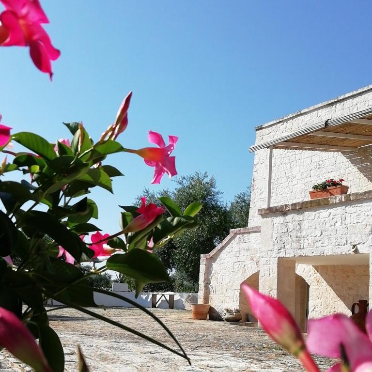 Κήπος έξω από το Pietra Pesara
