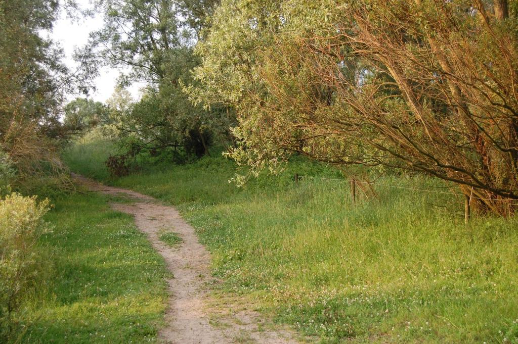 Příroda nedaleko prázdninového domu