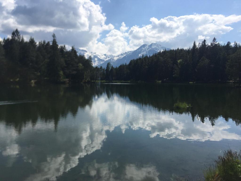 Príroda v okolí apartmánu