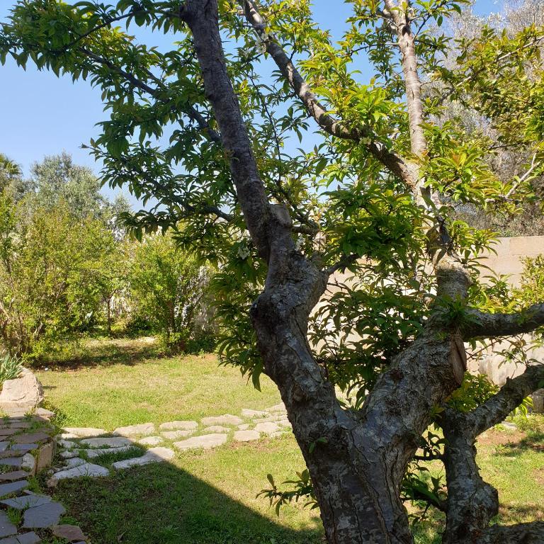 Chalet del Mare - foto 15