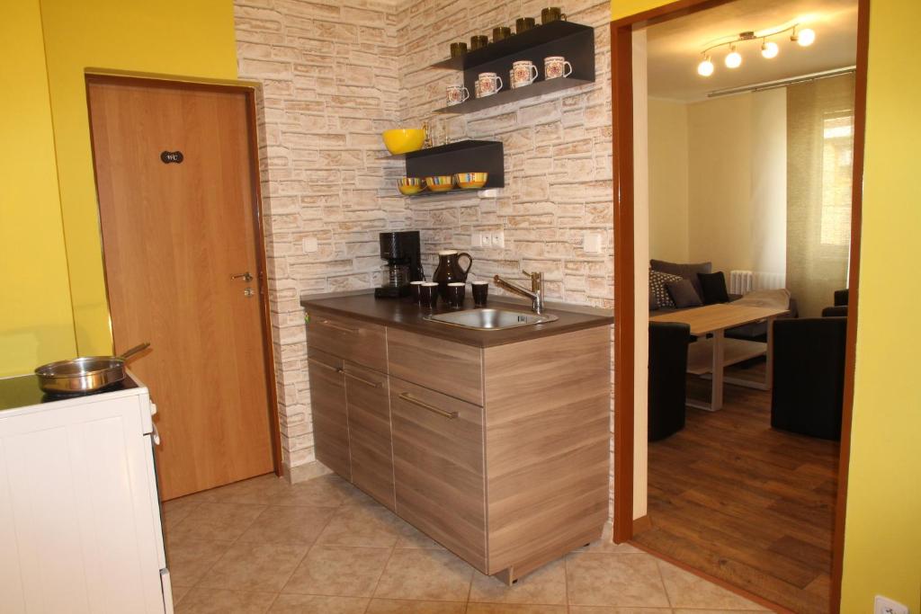Kuchyň nebo kuchyňský kout v ubytování Apartmán U Kačáku