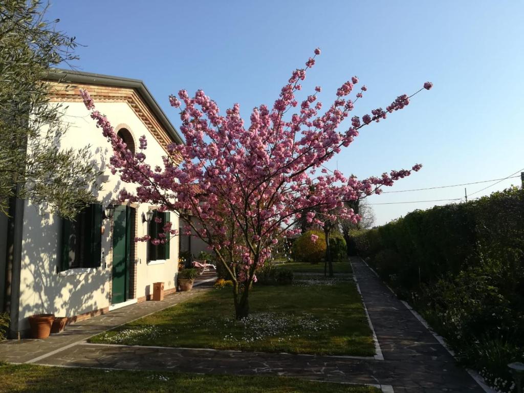 a tree in front of a house with pink flowers at Casa Pianta in Cavallino-Treporti