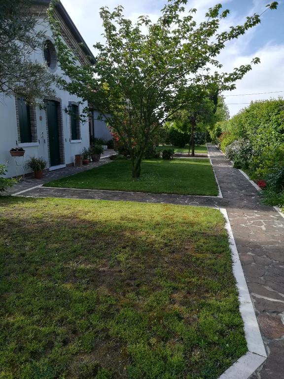 a house with a tree in the yard at Casa Pianta in Cavallino-Treporti