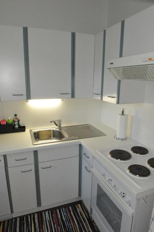 Kuchyň nebo kuchyňský kout v ubytování Villa Siebenruh
