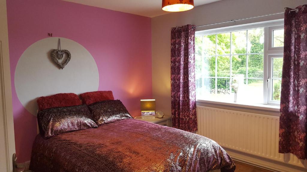 a bedroom with a bed with purple walls and a window at Pauleens Peaceful Place in Rochfortbridge