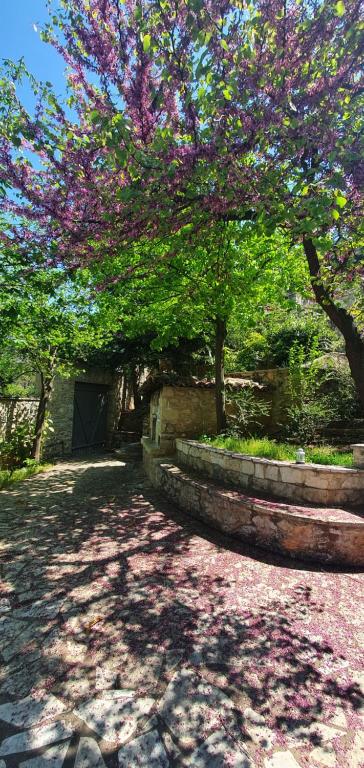 Zahrada ubytování Kyriaki Guesthouse & Suites