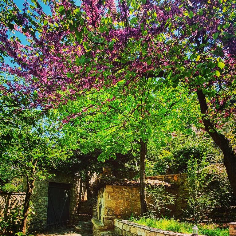 Zahrada ubytování Kyriaki Guesthouse & Suites