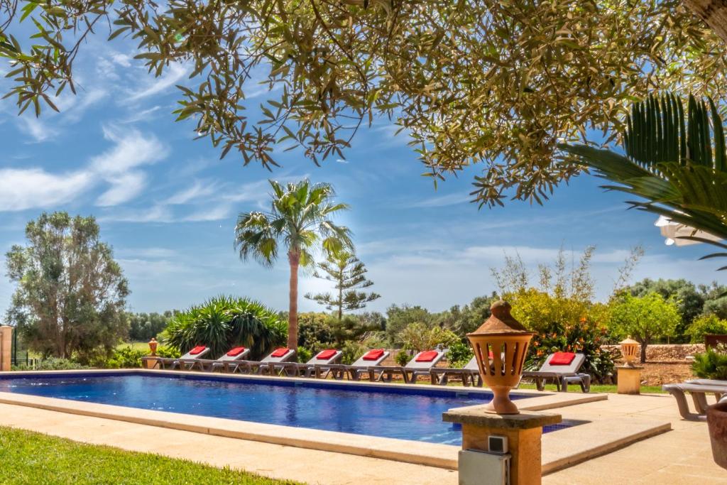 a pool with lounge chairs and a palm tree at Angoixes in Santanyi