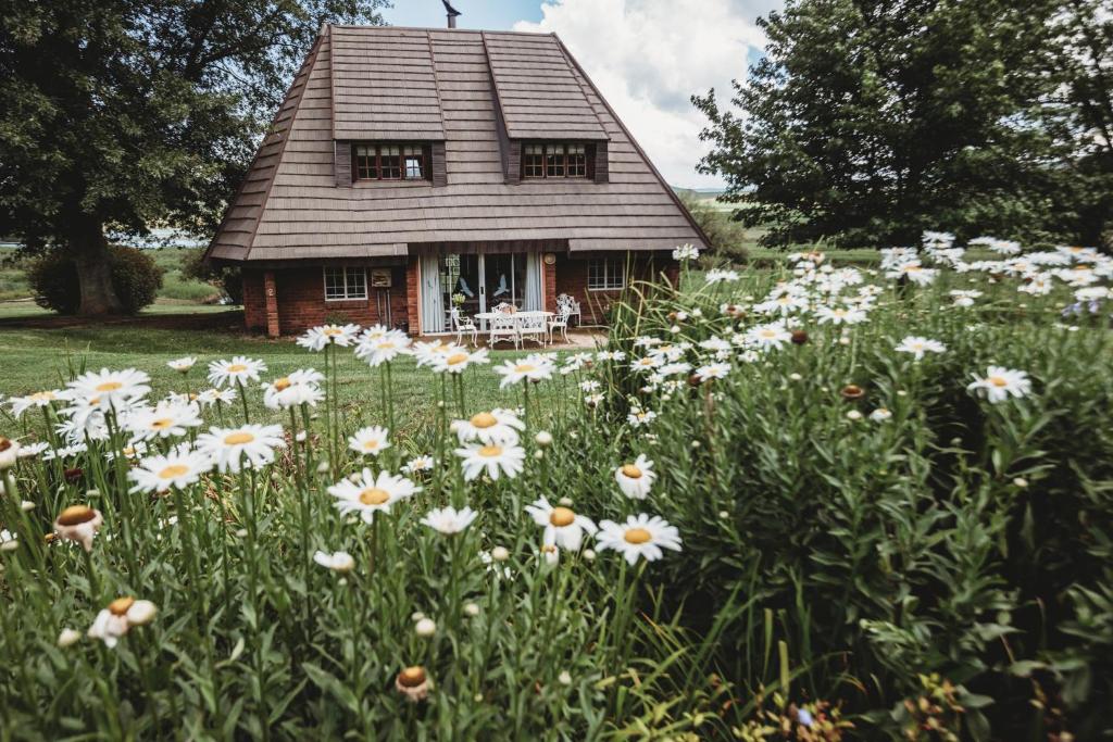 a field of flowers in front of a house at Valley Lakes CHALETS in Underberg