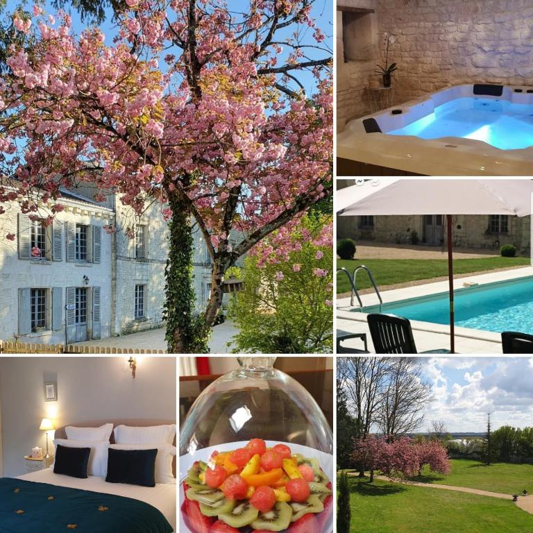 un collage de photos avec un arbre et une piscine dans l'établissement L'Olivier, à Monts-sur-Guesnes