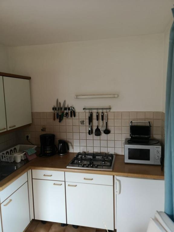 Kuchyň nebo kuchyňský kout v ubytování Apartment Furschermuehle