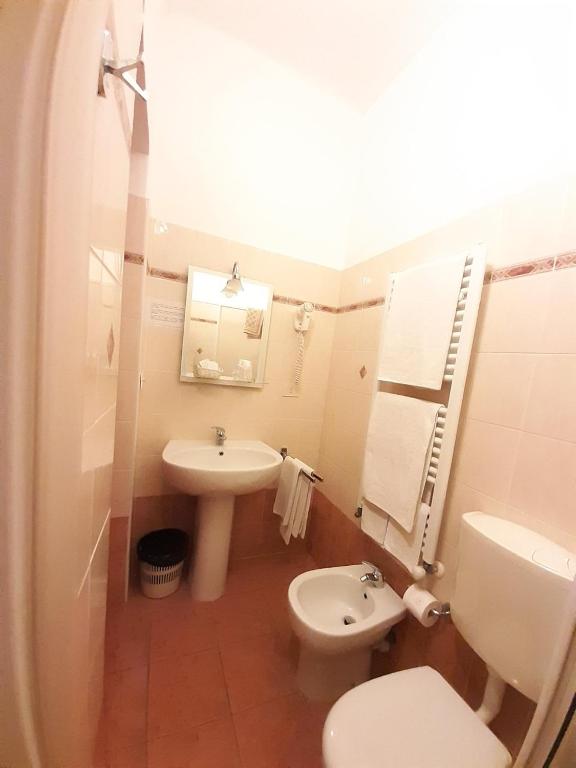Koupelna v ubytování Hotel Alba Torino centro