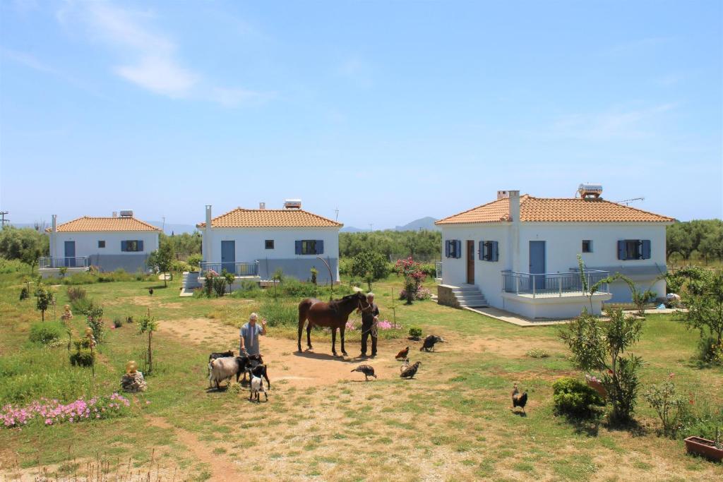 a man and a horse and some animals and houses at Stamna Farm in Romanu