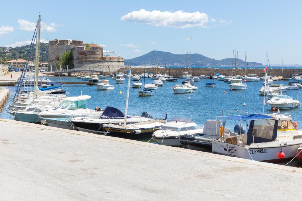 Gallery image of Résidence les Palmiers in Toulon