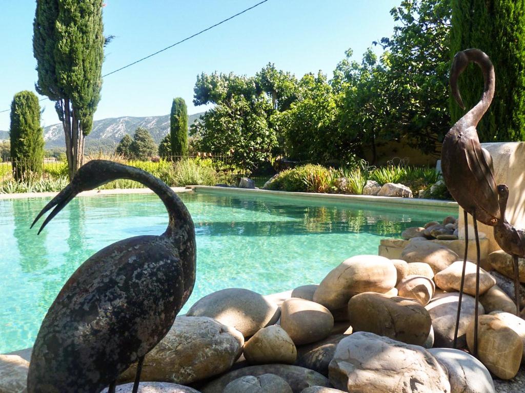 two birds standing on rocks near a swimming pool at Maison charmante à Oppède avec vue sur la montagne in Oppède