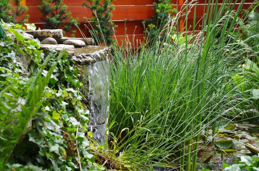 A garden outside Aranyhal Apartman