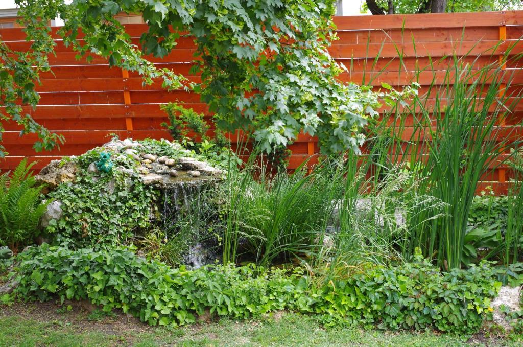 A garden outside Aranyhal Apartman