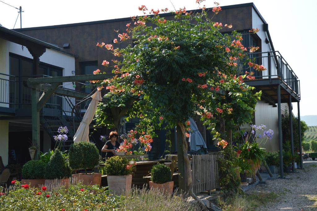 Zahrada ubytování Wein & Gästehaus Porten-Becker