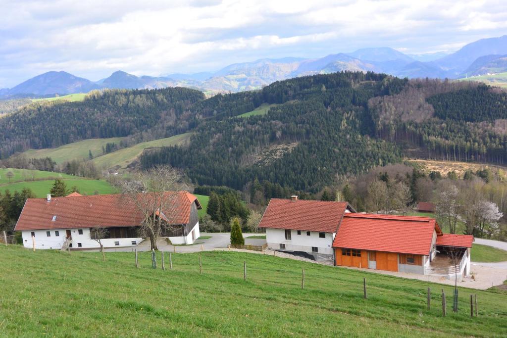 Příroda nedaleko apartmánu