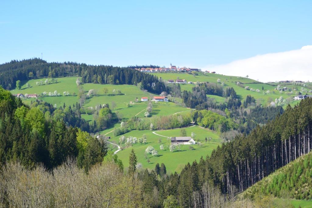 Příroda nedaleko apartmánu