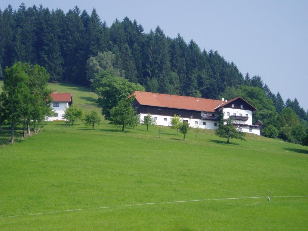 Příroda nedaleko apartmánu