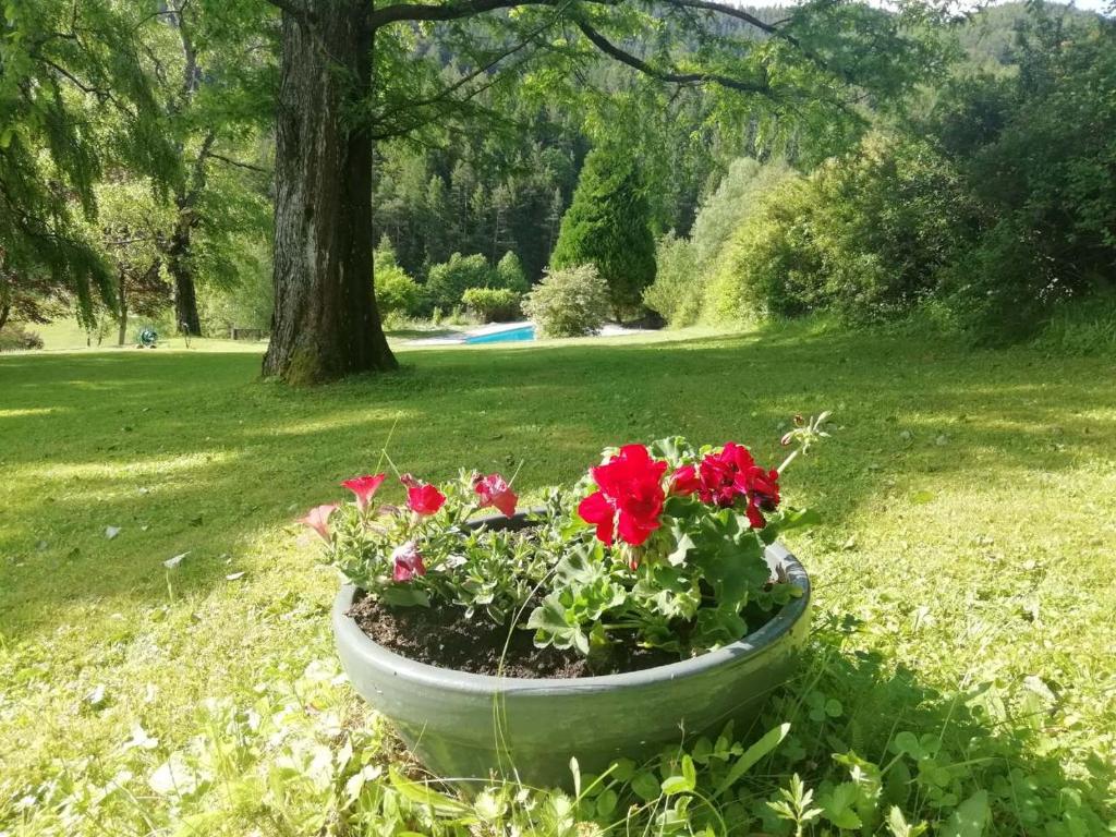 Vonkajšia záhrada v ubytovaní LANDSITZ OBERHOF petit hôtel