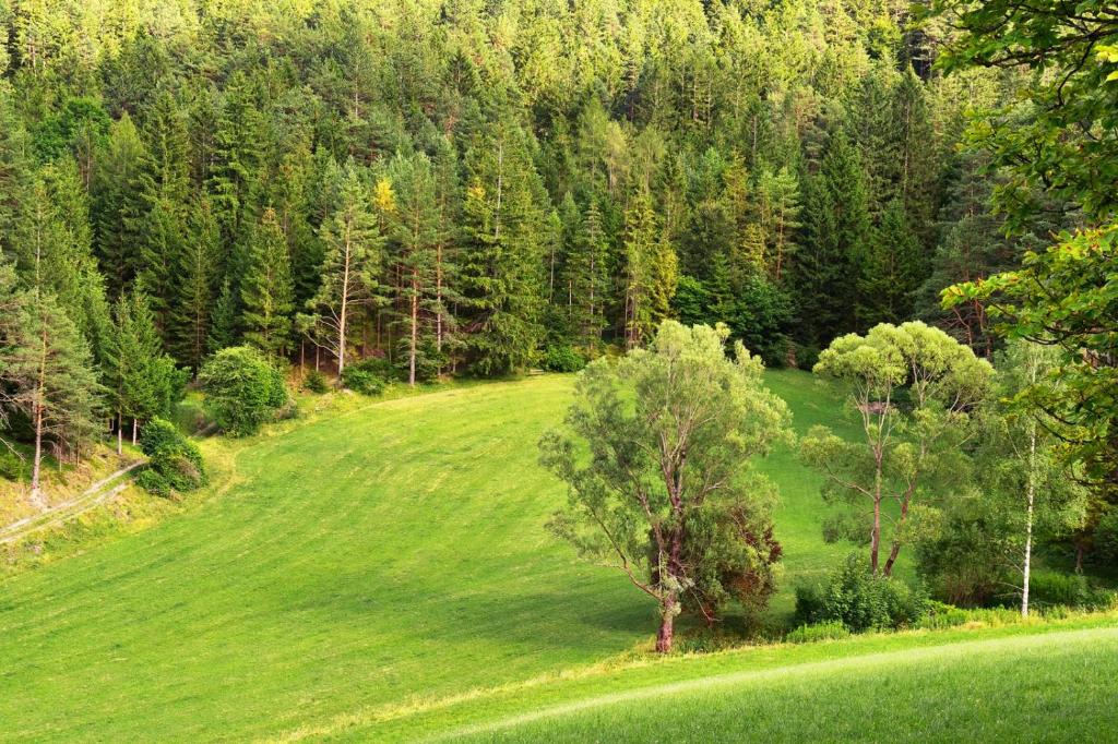 Príroda v okolí hotela