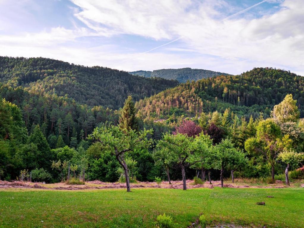 Príroda v okolí hotela